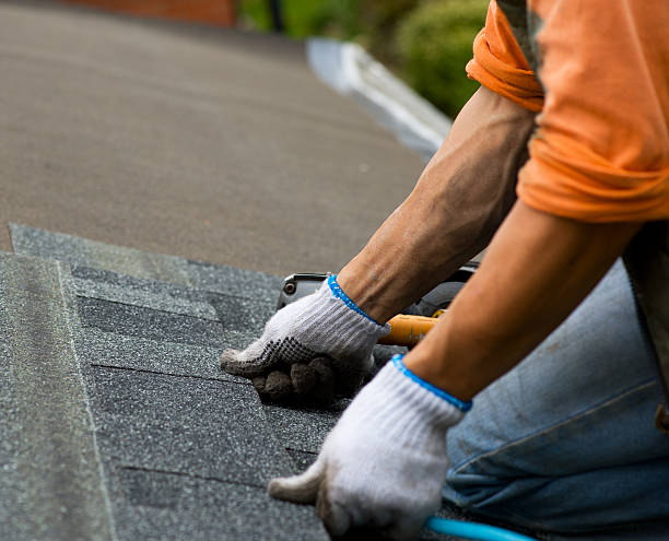 Best Roof Maintenance Services  in Okolona, MS